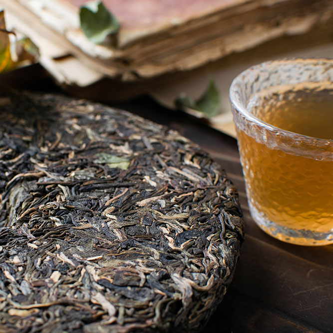 Shen Puer