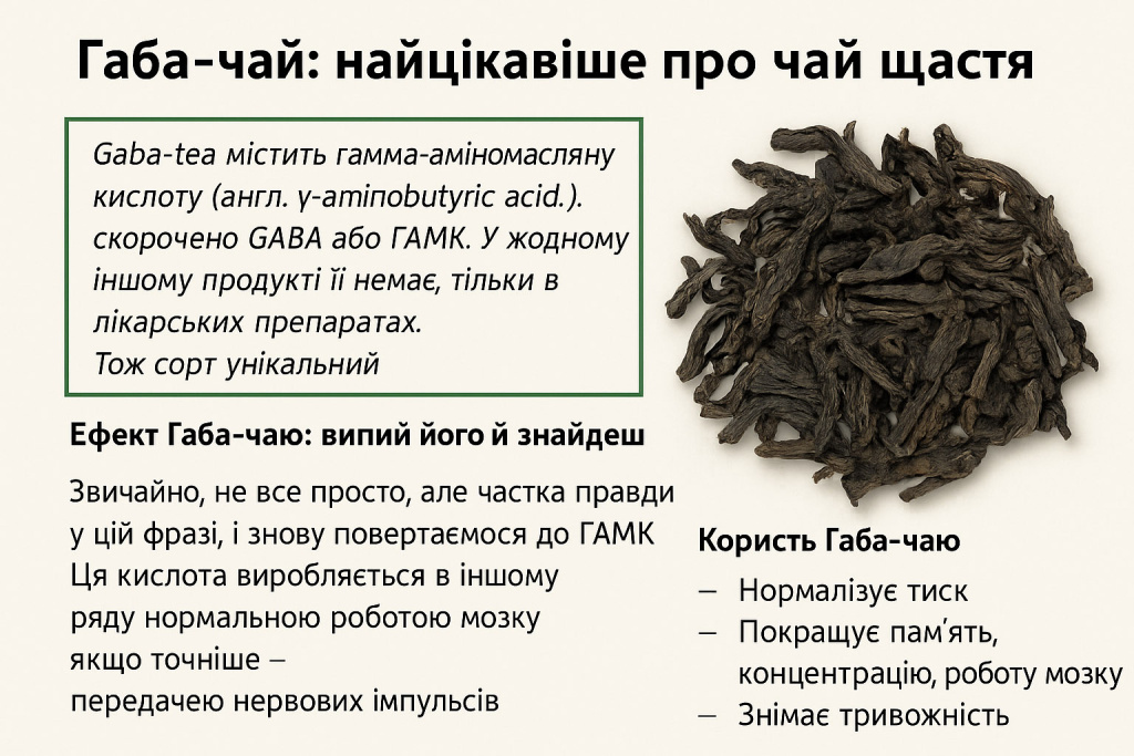 Інфографіка - користь Габа чаю