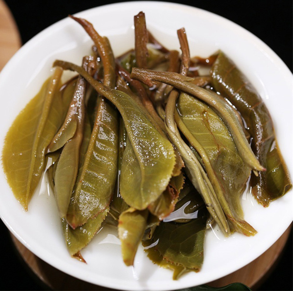 Brewed Sheng Pu-erh Ye Sheng leaves