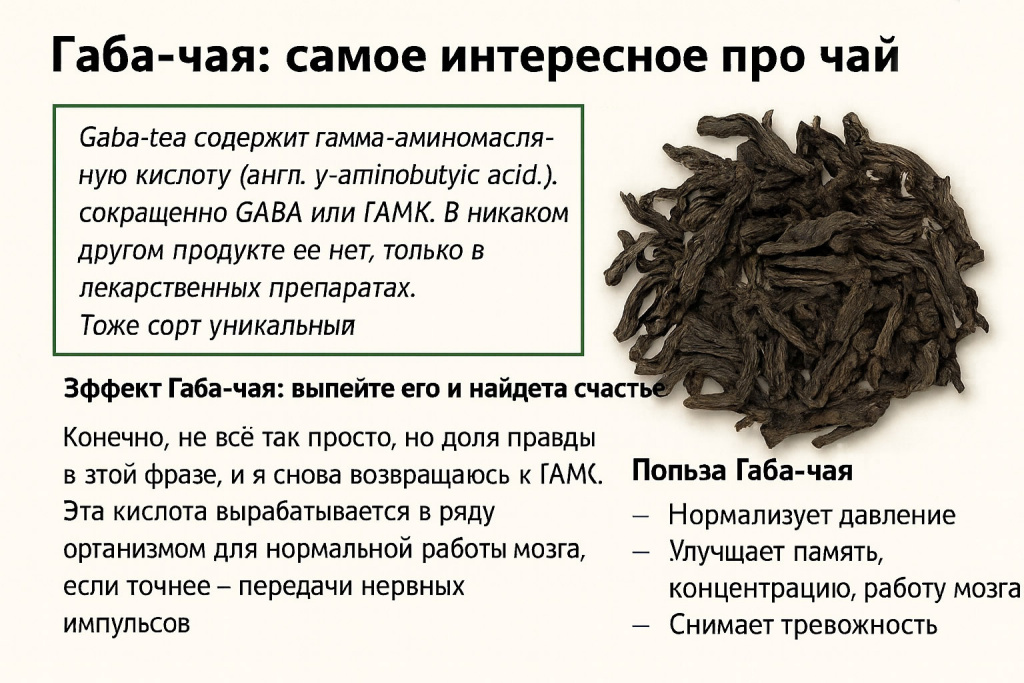 Инфографика польза Габа чая
